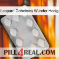 Leopard Secret Miracle Honey 16